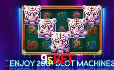 9sbet Salvador - Statistics